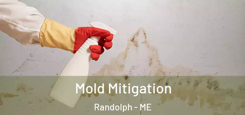  Mold Mitigation Randolph - ME