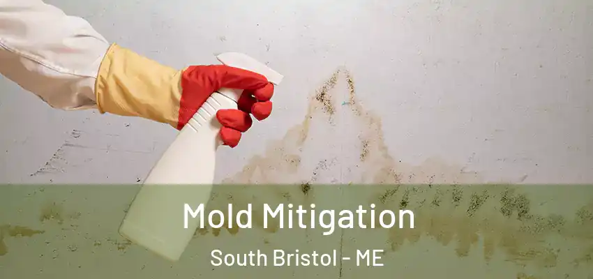  Mold Mitigation South Bristol - ME