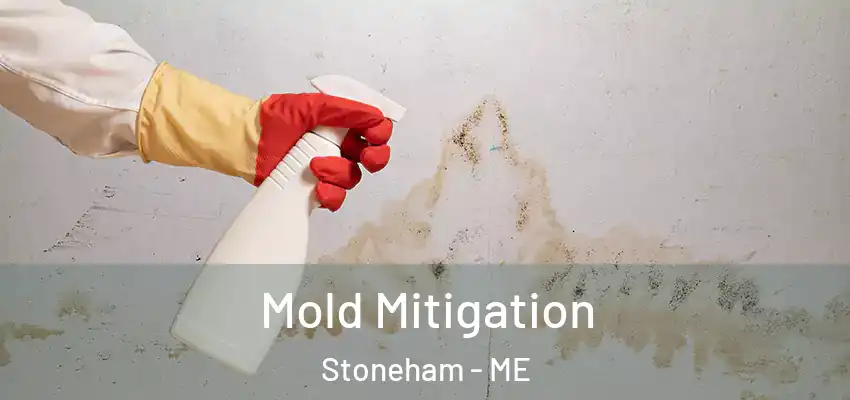  Mold Mitigation Stoneham - ME