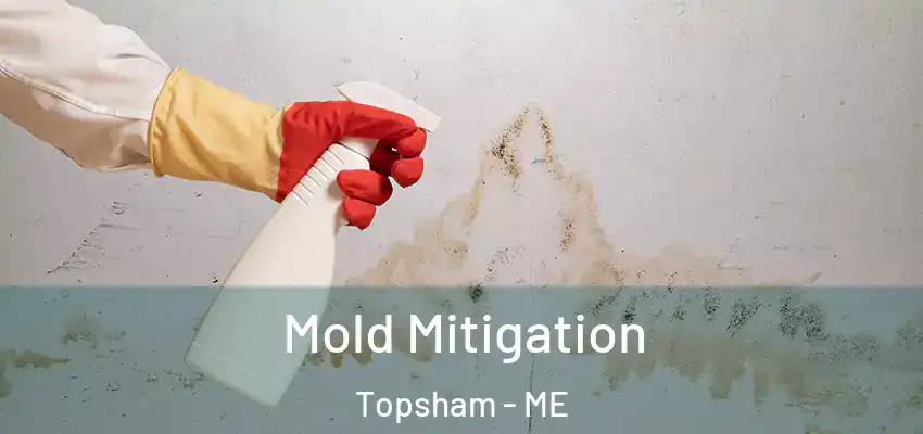  Mold Mitigation Topsham - ME