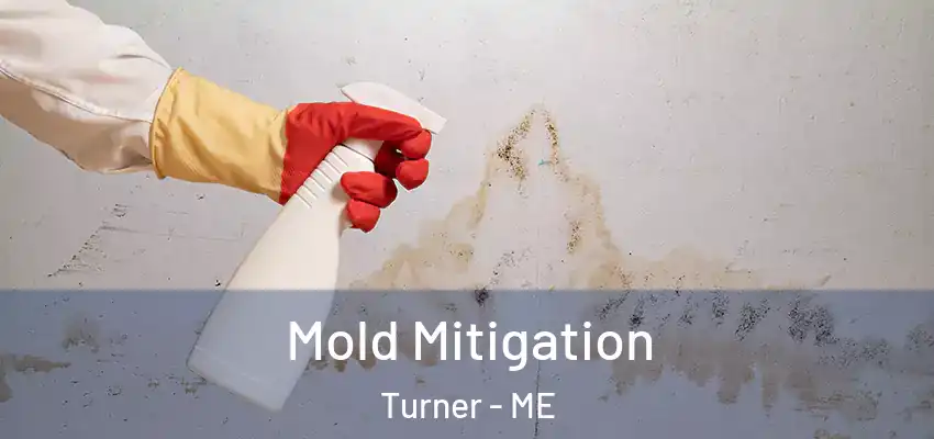  Mold Mitigation Turner - ME