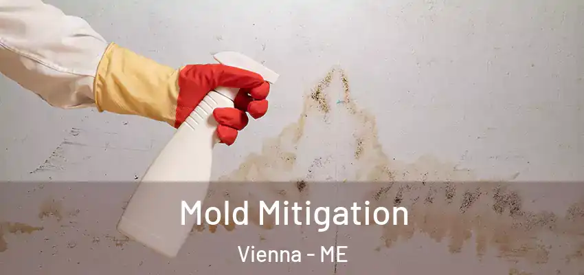  Mold Mitigation Vienna - ME