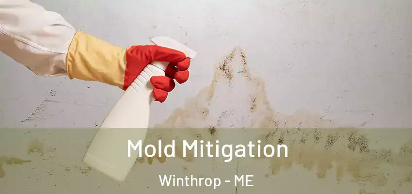  Mold Mitigation Winthrop - ME
