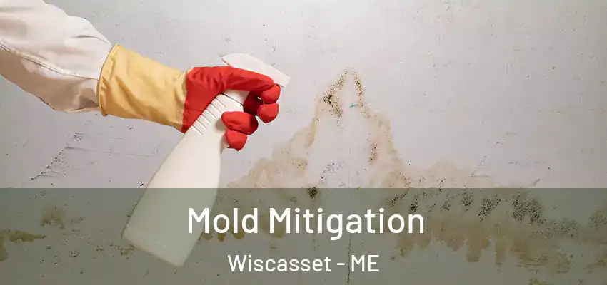  Mold Mitigation Wiscasset - ME
