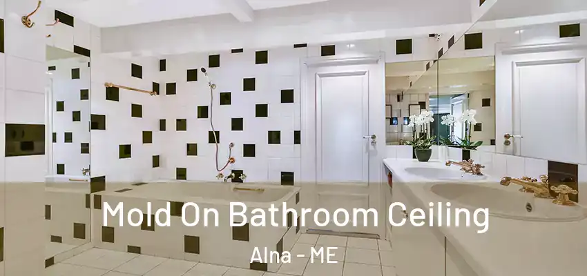  Mold On Bathroom Ceiling Alna - ME