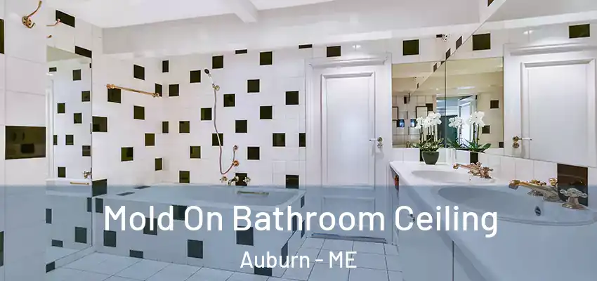  Mold On Bathroom Ceiling Auburn - ME