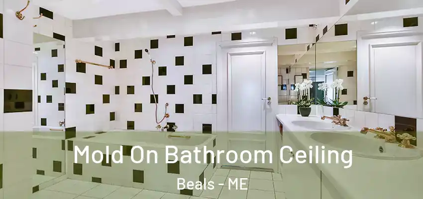 Mold On Bathroom Ceiling Beals - ME