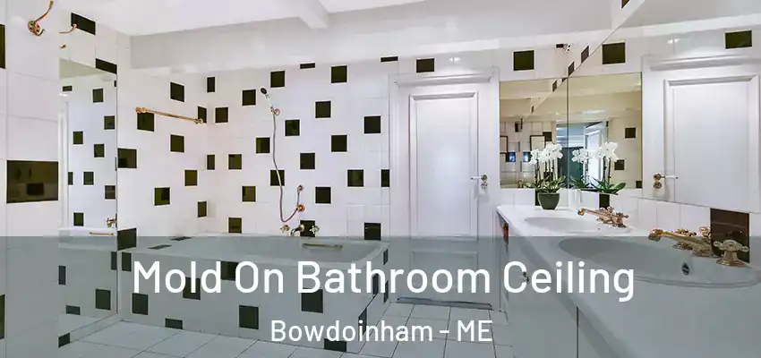  Mold On Bathroom Ceiling Bowdoinham - ME