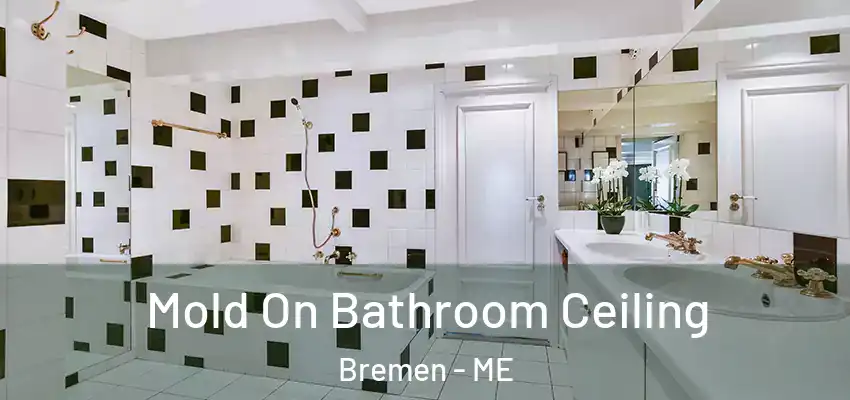  Mold On Bathroom Ceiling Bremen - ME