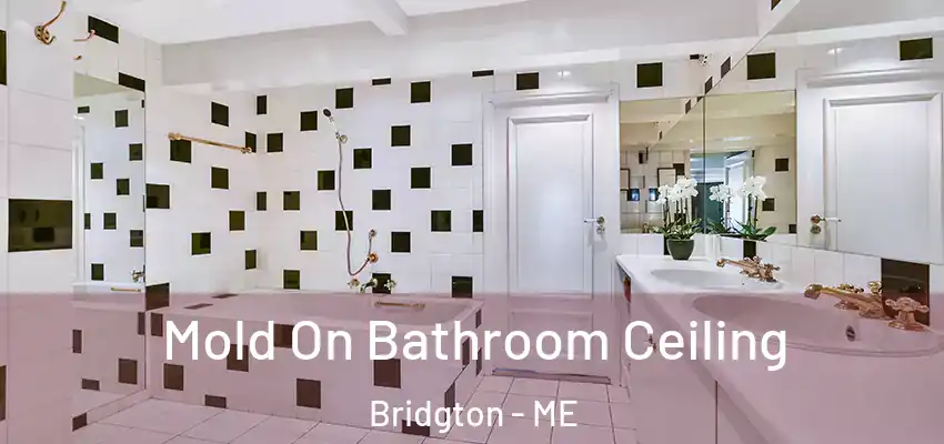  Mold On Bathroom Ceiling Bridgton - ME