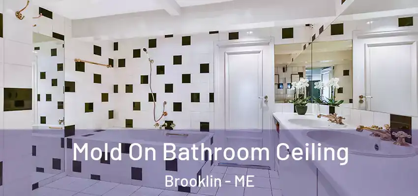  Mold On Bathroom Ceiling Brooklin - ME