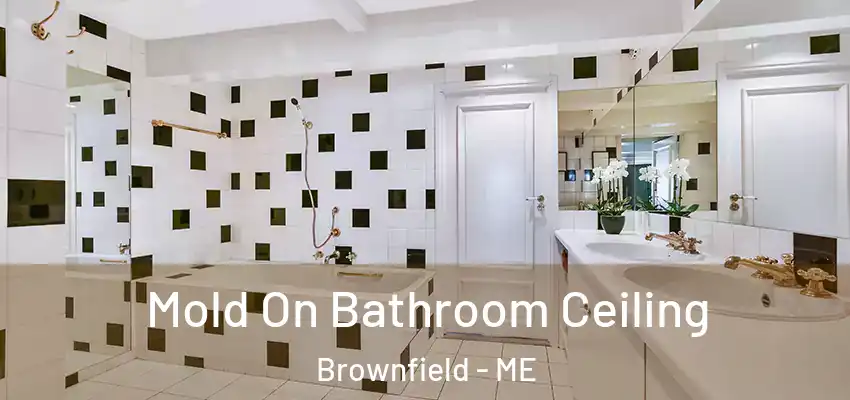  Mold On Bathroom Ceiling Brownfield - ME
