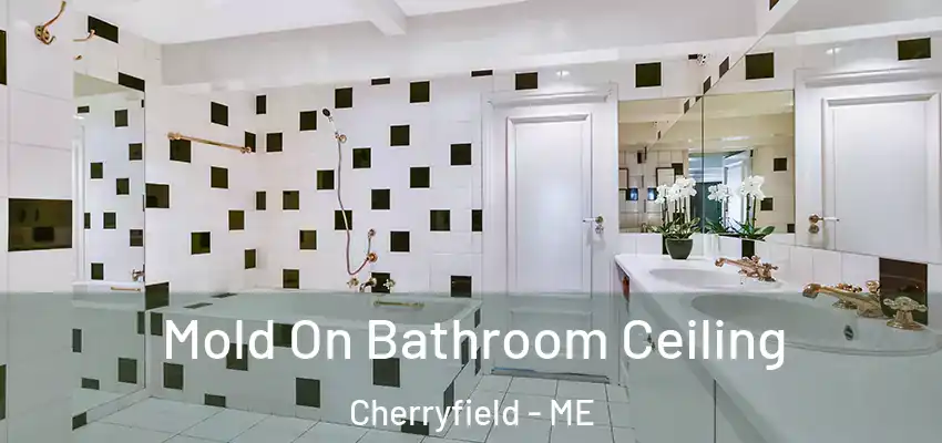  Mold On Bathroom Ceiling Cherryfield - ME