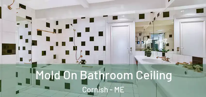  Mold On Bathroom Ceiling Cornish - ME