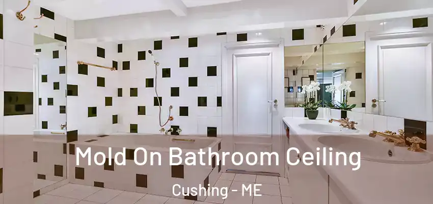  Mold On Bathroom Ceiling Cushing - ME