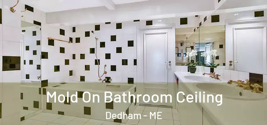  Mold On Bathroom Ceiling Dedham - ME