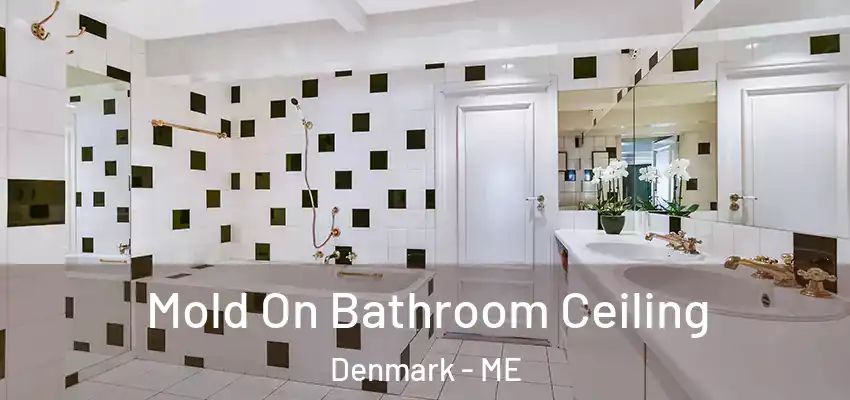  Mold On Bathroom Ceiling Denmark - ME
