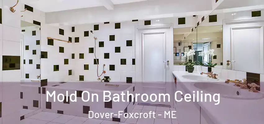  Mold On Bathroom Ceiling Dover-Foxcroft - ME