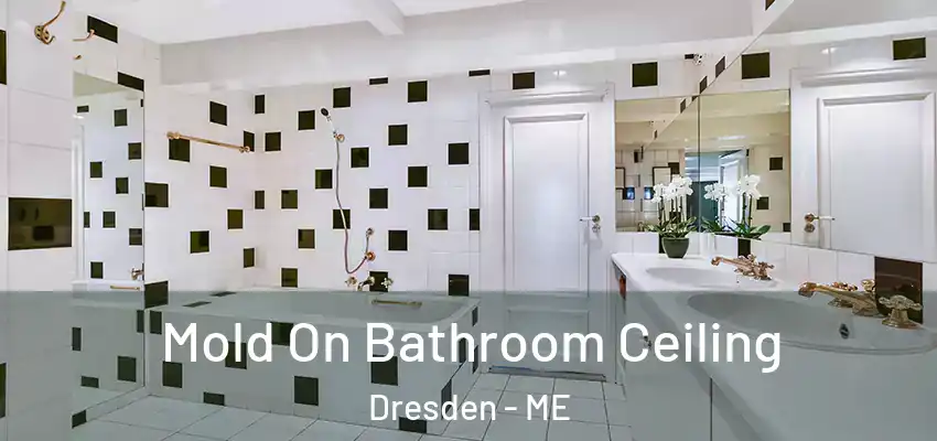  Mold On Bathroom Ceiling Dresden - ME