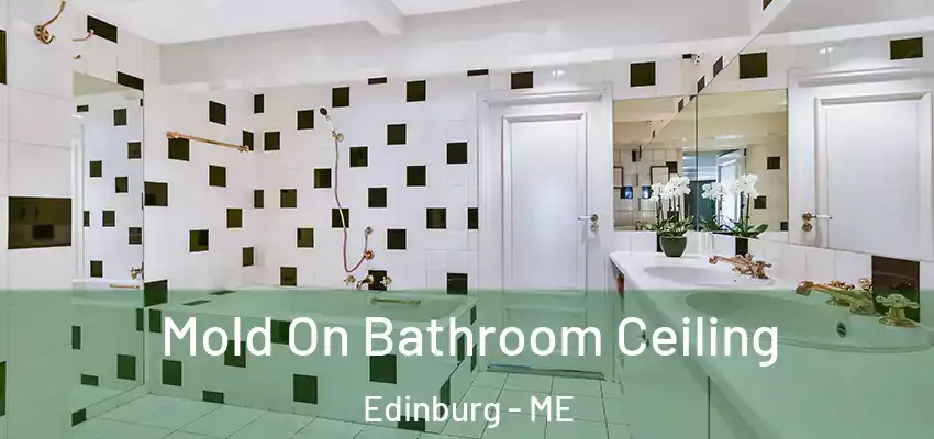  Mold On Bathroom Ceiling Edinburg - ME