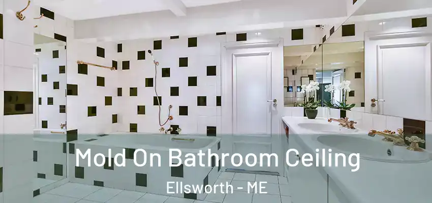  Mold On Bathroom Ceiling Ellsworth - ME