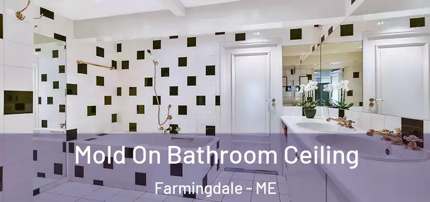  Mold On Bathroom Ceiling Farmingdale - ME