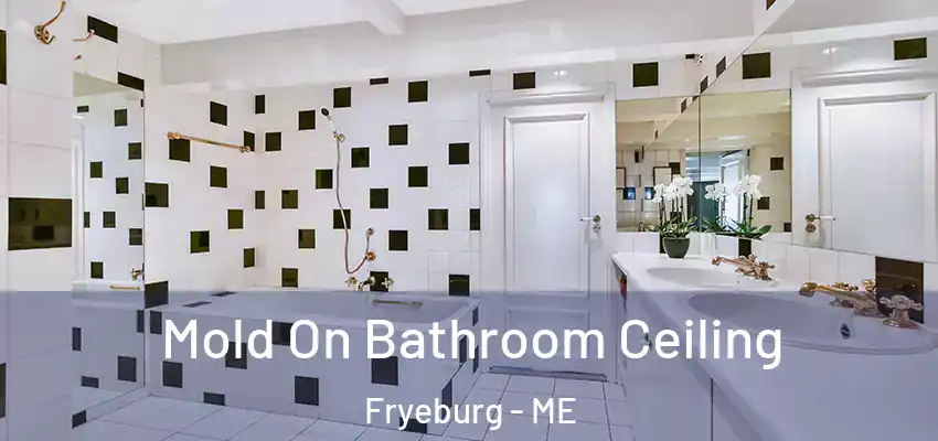  Mold On Bathroom Ceiling Fryeburg - ME