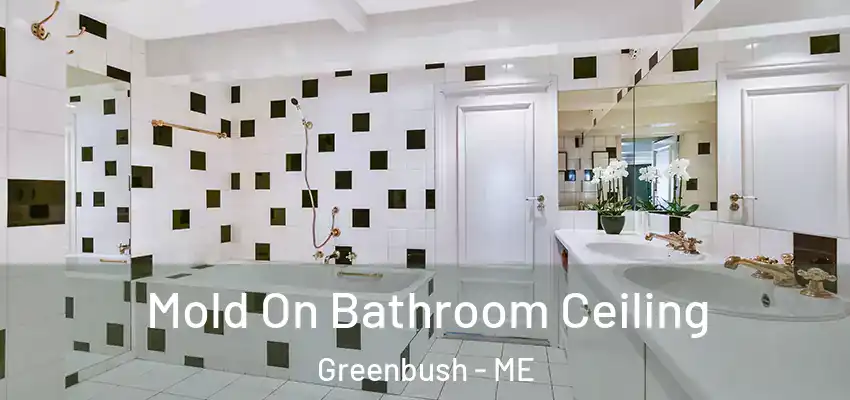  Mold On Bathroom Ceiling Greenbush - ME
