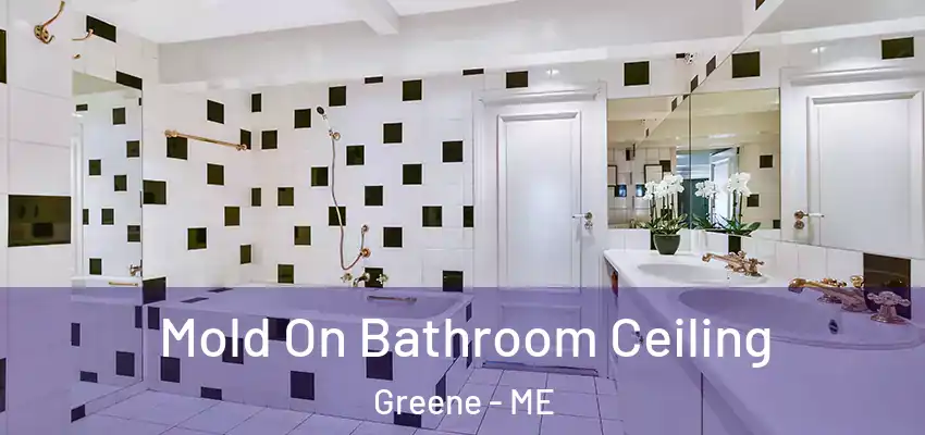  Mold On Bathroom Ceiling Greene - ME