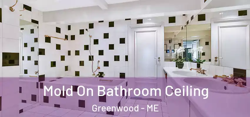  Mold On Bathroom Ceiling Greenwood - ME