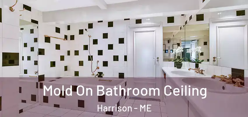  Mold On Bathroom Ceiling Harrison - ME