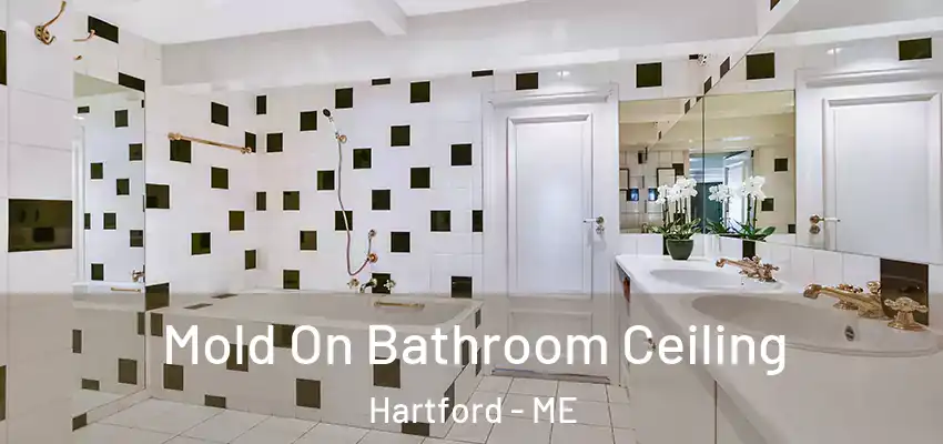  Mold On Bathroom Ceiling Hartford - ME