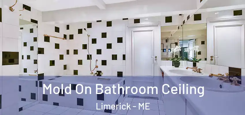  Mold On Bathroom Ceiling Limerick - ME