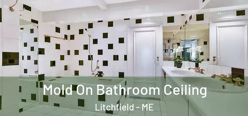  Mold On Bathroom Ceiling Litchfield - ME