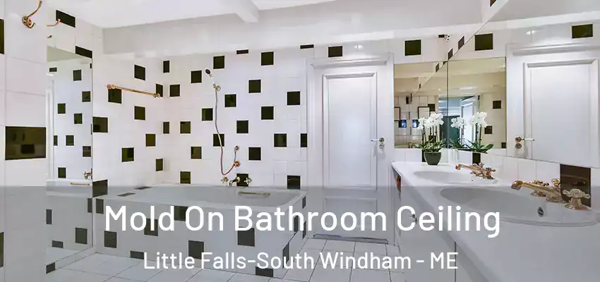  Mold On Bathroom Ceiling Little Falls-South Windham - ME
