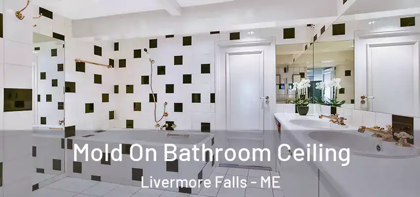  Mold On Bathroom Ceiling Livermore Falls - ME