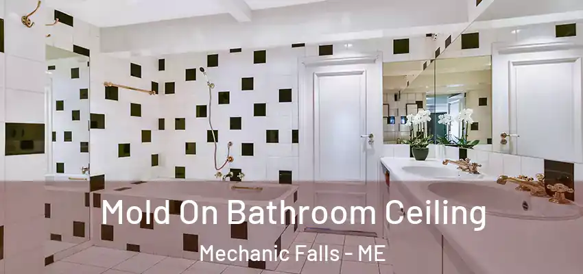  Mold On Bathroom Ceiling Mechanic Falls - ME