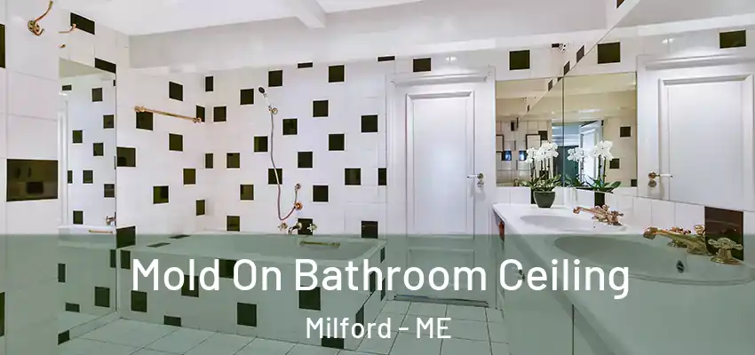  Mold On Bathroom Ceiling Milford - ME