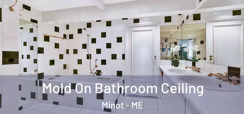  Mold On Bathroom Ceiling Minot - ME