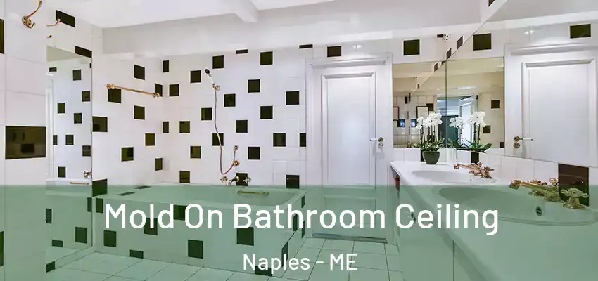  Mold On Bathroom Ceiling Naples - ME