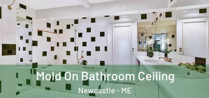  Mold On Bathroom Ceiling Newcastle - ME