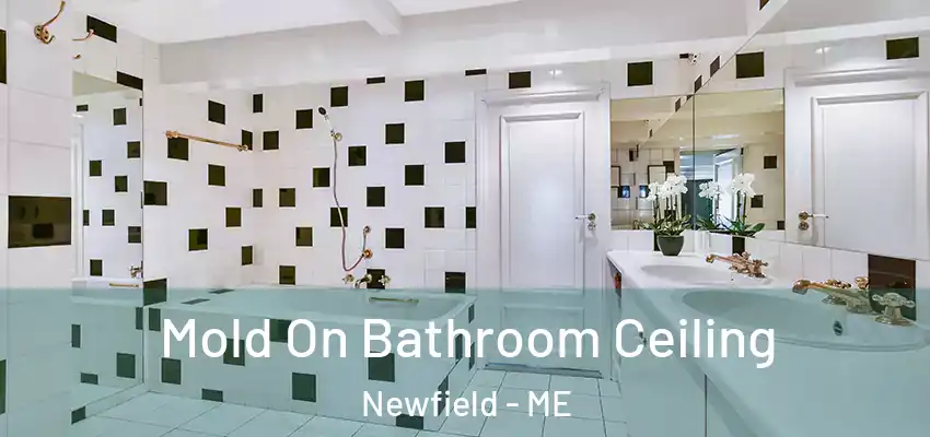  Mold On Bathroom Ceiling Newfield - ME