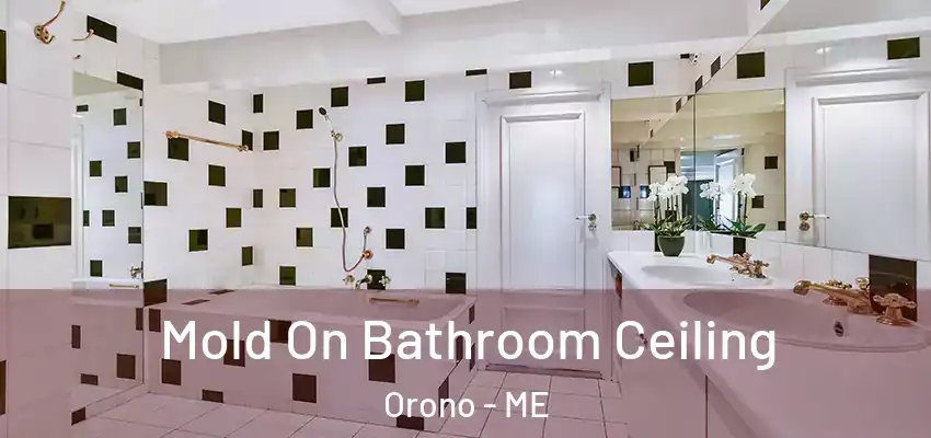  Mold On Bathroom Ceiling Orono - ME