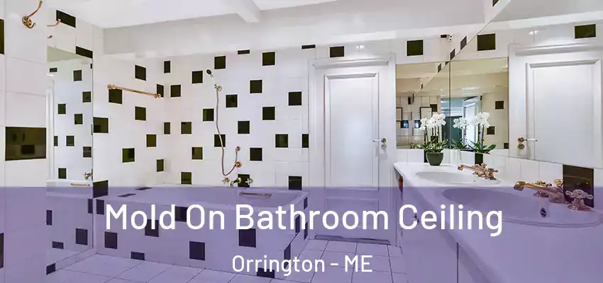  Mold On Bathroom Ceiling Orrington - ME