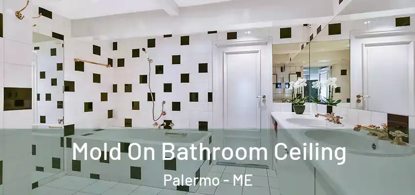  Mold On Bathroom Ceiling Palermo - ME