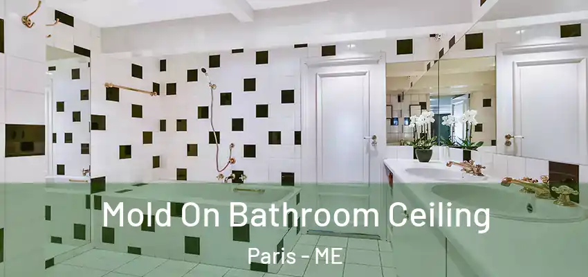  Mold On Bathroom Ceiling Paris - ME