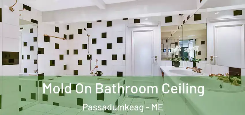  Mold On Bathroom Ceiling Passadumkeag - ME