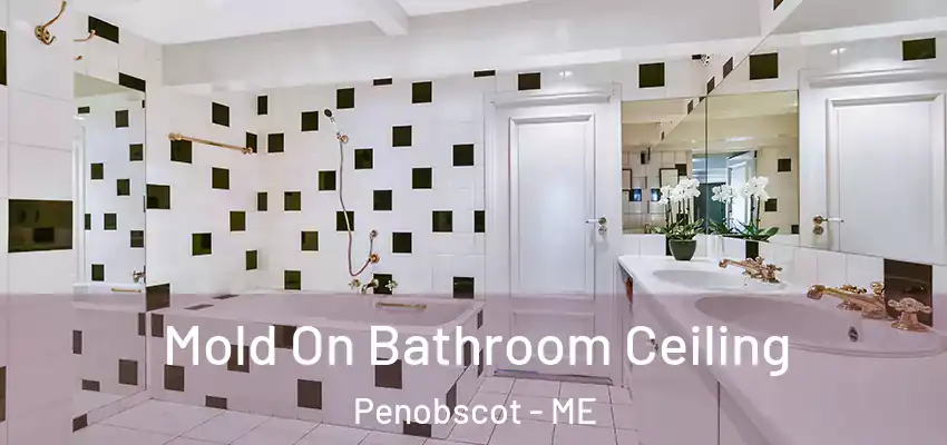  Mold On Bathroom Ceiling Penobscot - ME