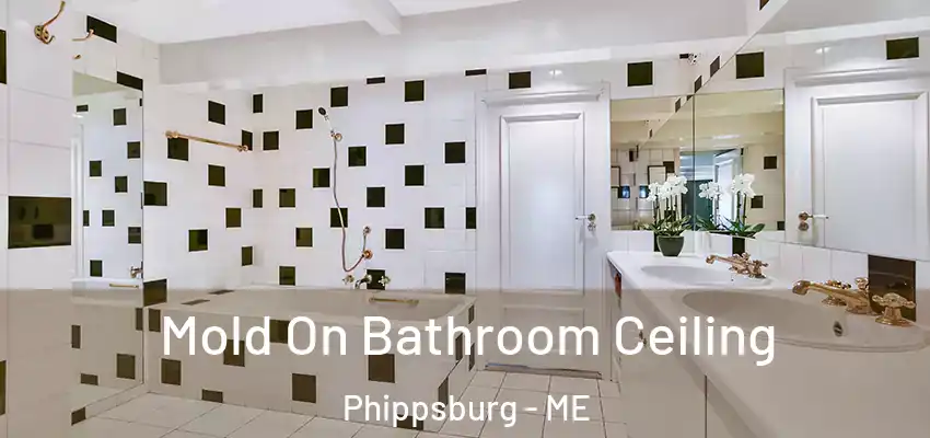  Mold On Bathroom Ceiling Phippsburg - ME