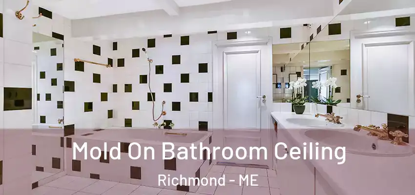  Mold On Bathroom Ceiling Richmond - ME